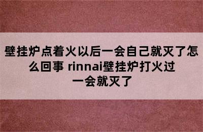 壁挂炉点着火以后一会自己就灭了怎么回事 rinnai壁挂炉打火过一会就灭了